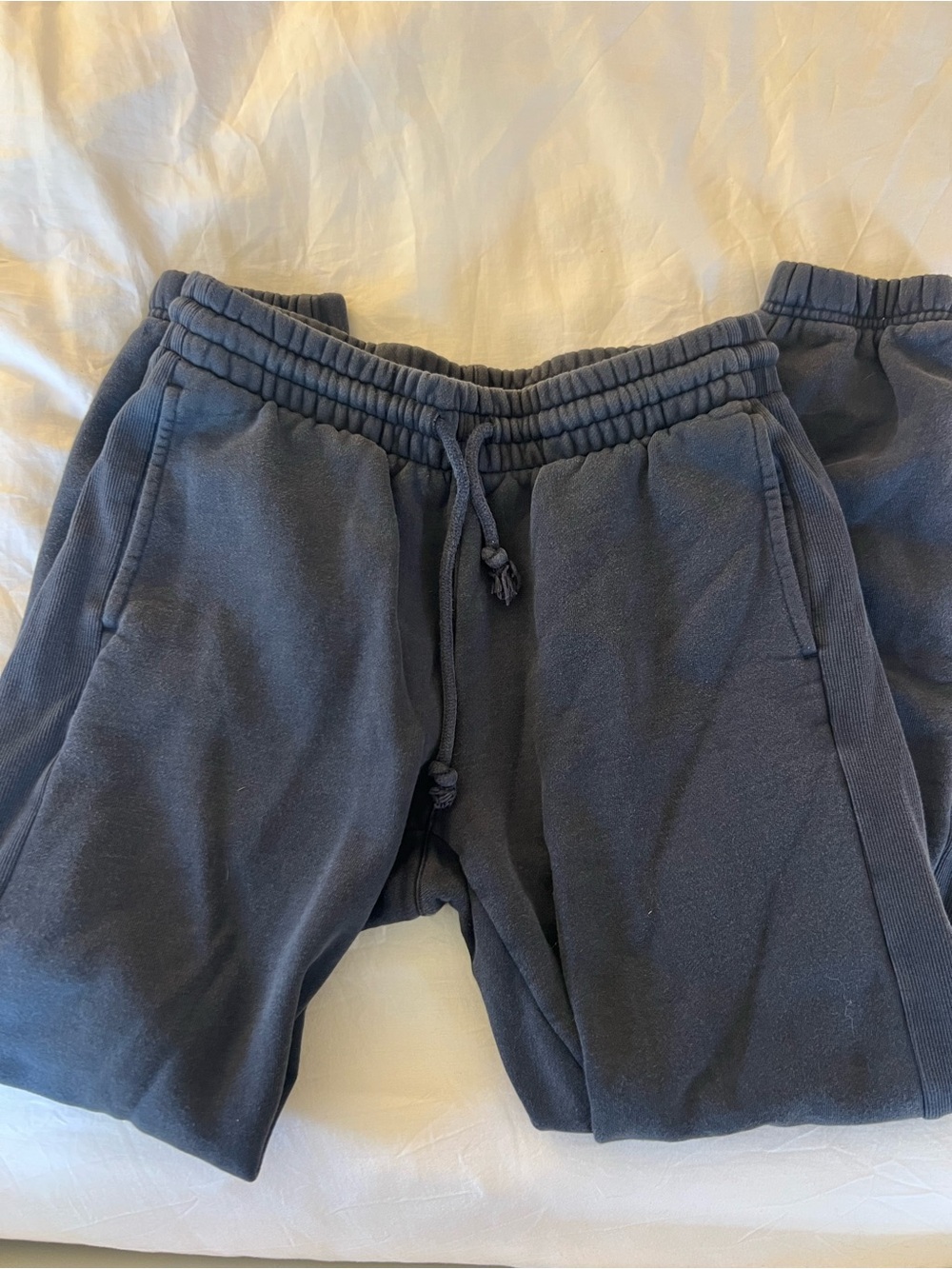 Aritzia joggers